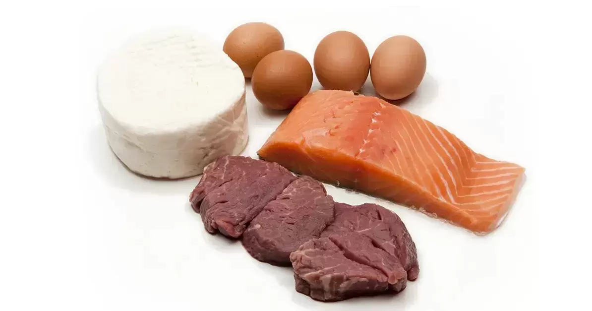 Ducan Diyet Protein Ürünleri